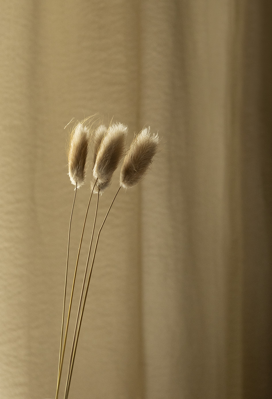 Desirèe Di Caro Fotografa- Still life Minimal 03